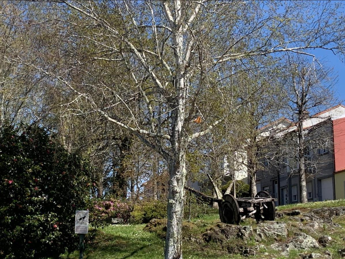 Campo De Estrellas Apartamento Santiago de Compostela Exterior foto